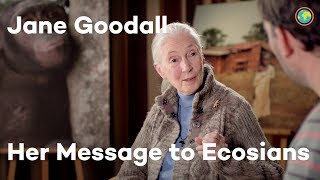 Ecosia interviews Dr Jane Goodall [upl. by Magnolia]