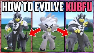 How to Evolve Kubfu  Pokémon Scarlet amp Violet [upl. by Kcirederf910]