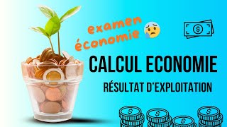 1439 CALCUL ECONOMIE  résultat dexploitation résultat financier avant et après impôts 🤓 💪🏼 [upl. by Nirroc845]