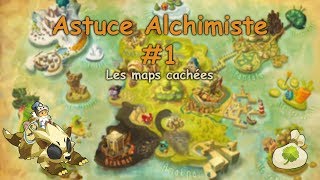 DOFUS Alchimiste  Les deux maps cachées remplies de plantes UPDATE [upl. by Mateo]