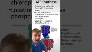 ATP Synthase [upl. by Karola]