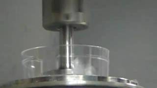 Shear rheometric test on polyacrylamide hydrogels 3 [upl. by Aleacim643]