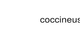 How to pronounce coccineus [upl. by Walburga]