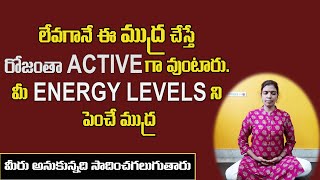 Mudra for Increasing Energy levels  Ushas Mudra in Telugu  Increase Body and Mind Activeness [upl. by Honor]