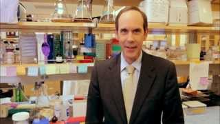 American Cancer Society Legends Dr Brian Druker [upl. by Uohk]