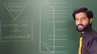 How to Draw Alimentary canal of Earthworm  Diagram Motivation by Dr Vaibhav Awasthi  Yo Yoo Bio [upl. by Juline]