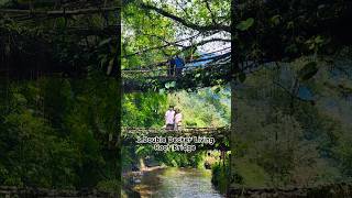 Top 10 places to visit Meghalaya 👌 meghalaya placestovisit shillong viral travel vlog short [upl. by Ehsrop794]