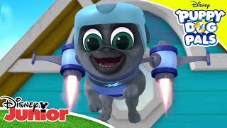 Playtime Pug Tag  Puppy Dog Pals 🐶  Disney Junior Arabia [upl. by Gallenz]