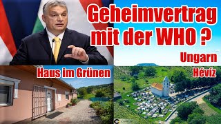 WIRTSCHAFT IM KALTEN KRIEG UND VERTRAG MIT WHO  UNGARN [upl. by Cathe]