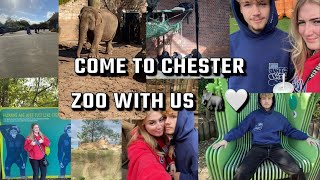 My honest opinions on Chester Zoo 📍🐘🤍 [upl. by Cargian]