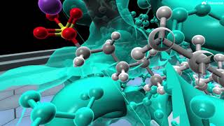 Protein Structure Part 9 of 10  Denaturation [upl. by Nadeen618]