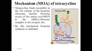 Antibiotics that inhibit protein synthesis Molecular biology [upl. by Nehr907]