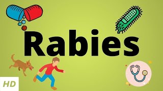 Rabies Causes SIgn and Symptoms Diagnosis and Treatment [upl. by Roee]