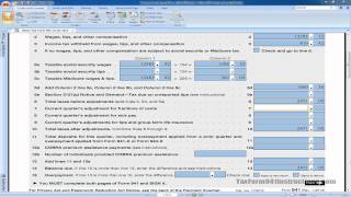 Tax Form 941  Line 7  Video [upl. by Yanrahs466]