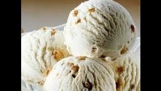 Cuisinart Ice Cream Maker Recipes [upl. by Nabal]