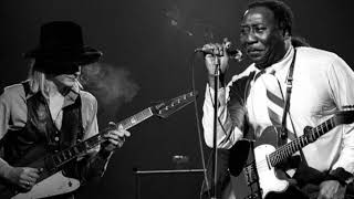 Muddy Waters – Mannish Boy feat Johnny Winter [upl. by Anirroc797]