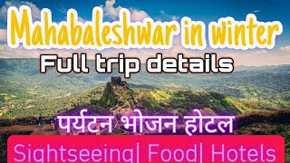 Mahabaleshwar full trip details  Mahabaleshwar hill station  Place to visit in winter [upl. by Henrieta]