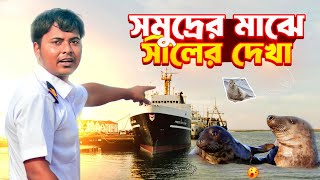 সমুদ্রের মাঝে সীলের দেখা Sailors vlog  Marine Engineer  Ridoy The Sailor [upl. by Nwahsal]