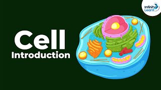 Cells  Introduction  Biology  Dont Memorise [upl. by Aecila]