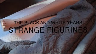 The Black and White Years  Strange Figurines Lyric Video [upl. by Naga]