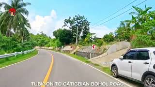 Tubigon to Catigbian Bohol Road [upl. by Eimam174]