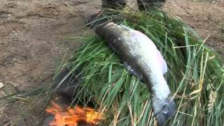 Finnish fish delicacies on an open fire [upl. by Knowlton]