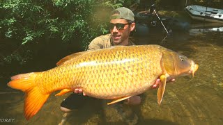 On Pêche des CARPES dun autre monde [upl. by Gert]