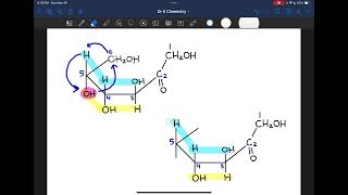 Converting Dfructose from Fischer to Haworth [upl. by Sikleb889]