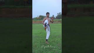 quotDOUBLE THE POWER  Front Kick amp Push Kick Tutorial for Martial Arts amp Self Defense [upl. by Kaczer618]