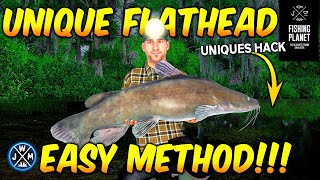 How to Catch UNIQUE FLATHEAD CATFISH Easy on Quanchkin Lake in Fishing Planet [upl. by Whale964]