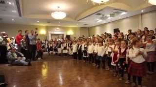 Serbian Folk Dance  New year party 2015 • Светосавски реицал и забавa [upl. by Andromeda]