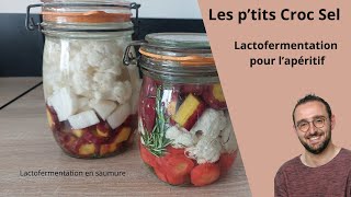 Lactofermentation pour lapéritif [upl. by Alimhaj]