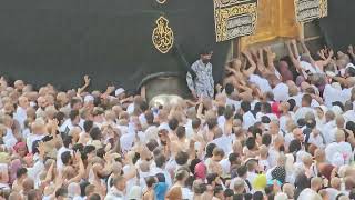 Kaaba Live🔴  November 12 2024  Jumma Mubarak  beautiful View Masjid Al Haram  Makkah official [upl. by Margo]