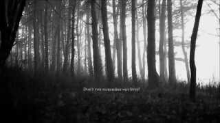 Woods of Ypres  Shards of love  lyrics [upl. by Lesirg525]