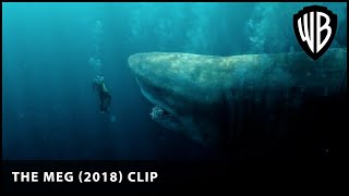 Its a trap  The Meg 2018  Warner Bros UK [upl. by Rama]