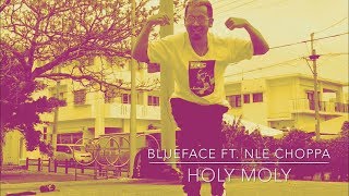 Blueface ft NLE Choppa  Holy Moly [upl. by Sapowith]