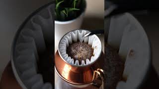 Brewing with kalita wave flat dripper [upl. by Finbar]