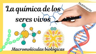 MACROMOLÉCULAS La química de los seres vivos [upl. by Mercola105]