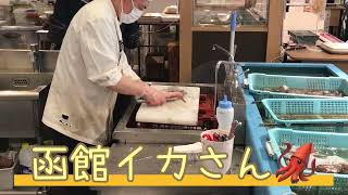 Japan Hokkaido Squid Sashimi 函館 ヤリイカ捌き 活イカ刺し [upl. by Eycal]