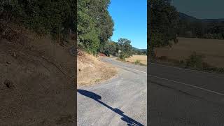 Summer cycling in Northern California is the best 6 cycling cyclinglife roadcycling [upl. by Silvano]