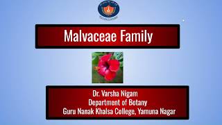 Malvaceae Family Taxonomic description  Dr Varsha Nigam [upl. by Sherri]