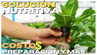 SOLUCIÓN NUTRITIVA 🌱 ¿Como preparar 💲💲💲 ¿COSTO [upl. by Barren]