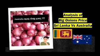 Analysis of Big Onions Price  Sri Lanka Vs Australia [upl. by Earahc]