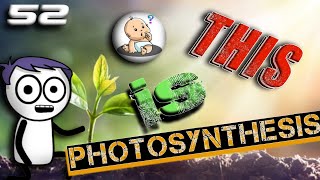 PHOTOSYNTHESIS PHOTOSYSTEM1 PHOTOSYSTEM 2 PHOTOSYNTHESIS IN HINDI [upl. by Tarah]