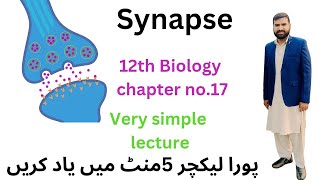 synapse 12 Class biology  synapse in Urdu Hindi 2ndyearbiology [upl. by Nanreit257]