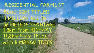 vlog 535 RESIDENTIAL FARMLOT 8000 SQM15KM FROM HIGHWAY118KM FROM TPLEX [upl. by Notnarb]