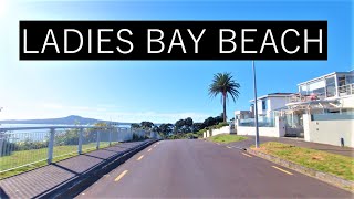 Aucklands Eastern BeachesMission BayKohimarama BeachSt Heliers BeachLadies Bay Beach 4K [upl. by Scottie]