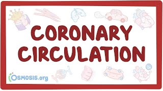 Coronary circulation  an Osmosis Preview [upl. by Tamsky]