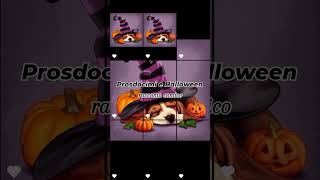 👇httpstormentialtervistaorgprosdocimiehalloween 🎃 halloween comicità humor animali [upl. by Estas]