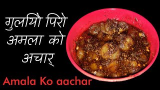 Amala Ko Achar। How To Make Amala Ko Achar। 20 मिनेटमै तयार हुने आमलाको अचार। Murabba। Home Cooking [upl. by Einnel260]